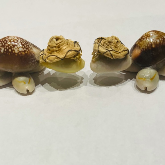 Cowrie Shell Turtles  Set of 2  Handmade - Picture 3 of 9